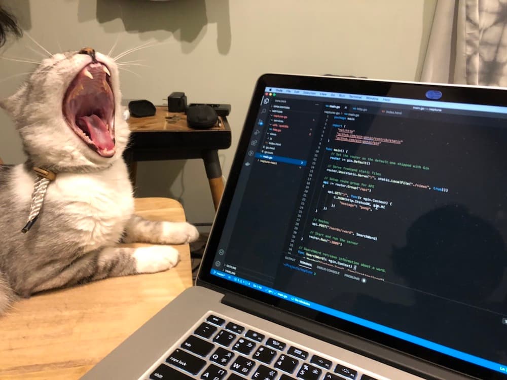 How I became a developer? (Part1)